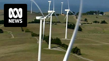 Abbott wants fewer wind farms, wishes RET had never been introduced