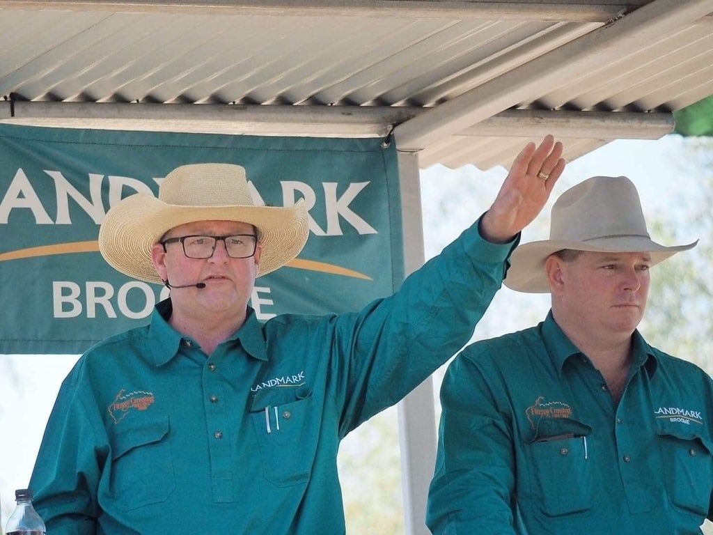 Blue ribbon results at Fitzroy Crossing Bull Sale despite tough year of