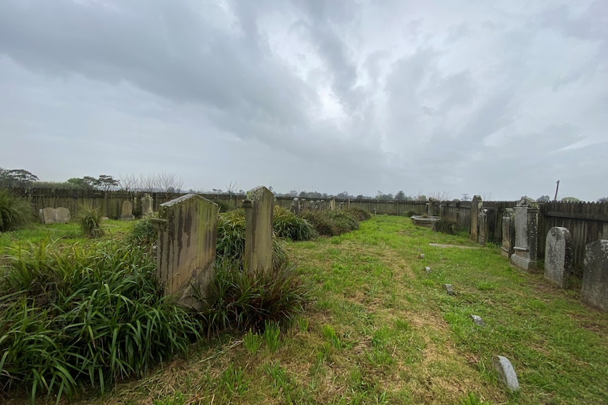 an overgrown cemetery
