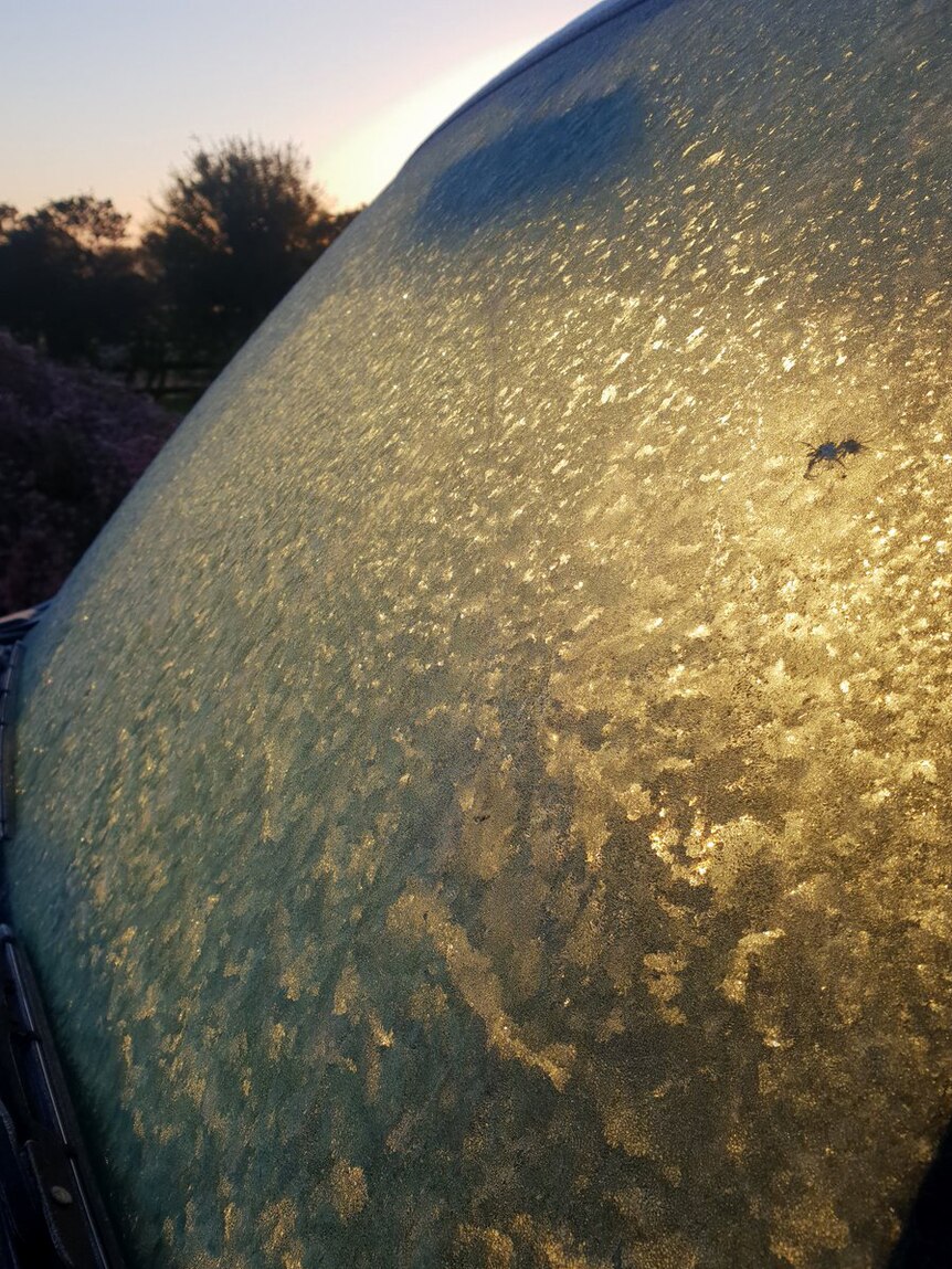 Close-up of an ice-encrusted windscreen.