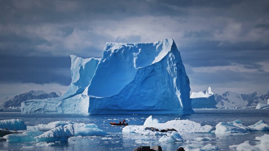 a picture of a iceberg surrounded by smaller ones near Adelaide Island, Antarctica Peninsula, a small boat in the foreground