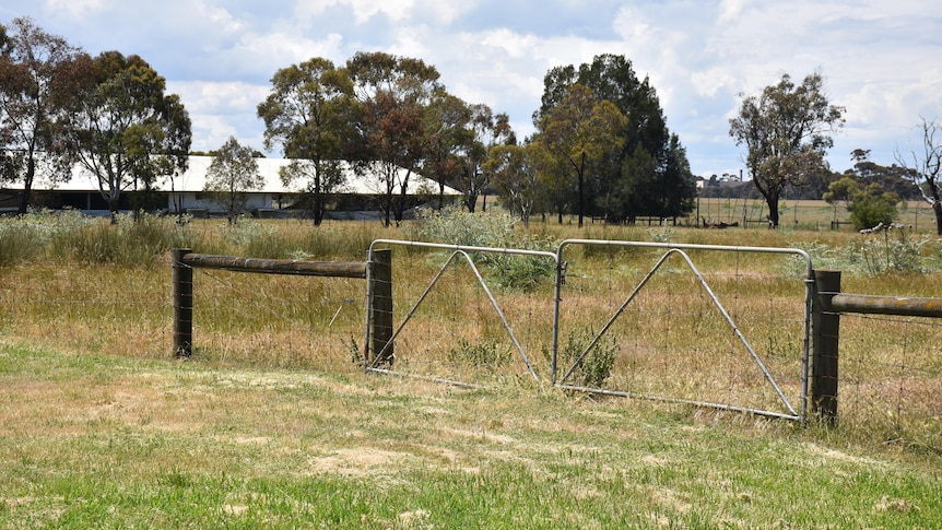 Dried yellow and green grass and a few trees populated a fenced-off paddock near a home.
