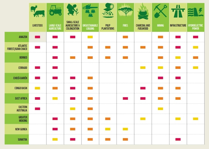 Livestock is the main cause of deforestation in Australia