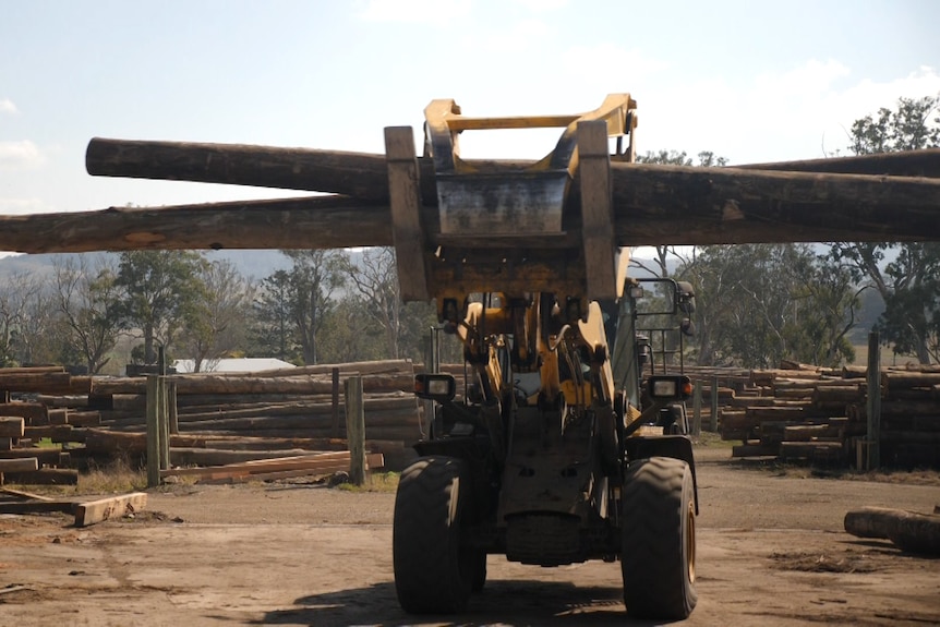 Ein Traktor, der zwei große Baumstämme trägt.