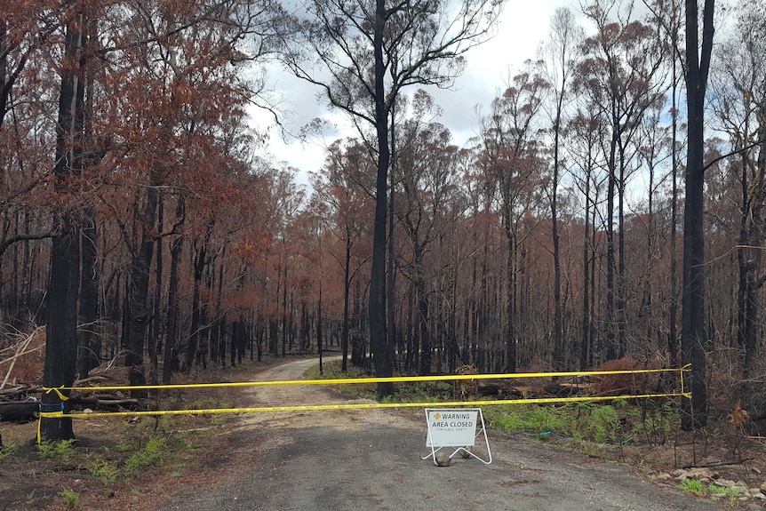 Caution tape blocks the entrance to a national park where the trees are blackened by fire. A sign says 'Area Closed'.