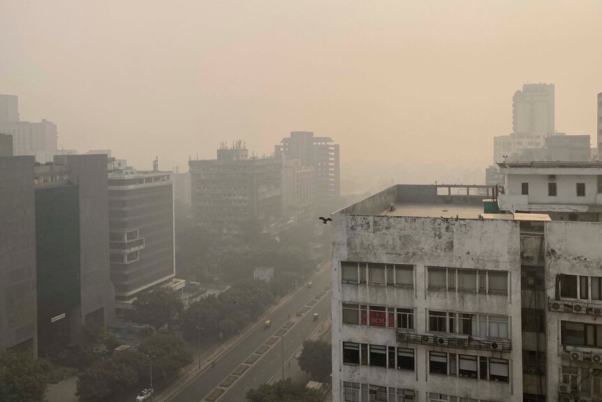 A bird flies through a built up city with the horizon enveloped by smog and haze.