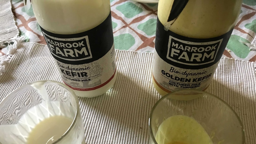 Two bottles of kefir mil on a table, with glasses in front of each bottle.