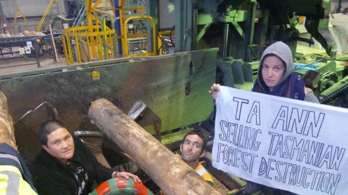 Protesters sitting in machinery at a Ta Ann factory holding signage that reads "Ta Ann selling Tasmania's forest destruction"