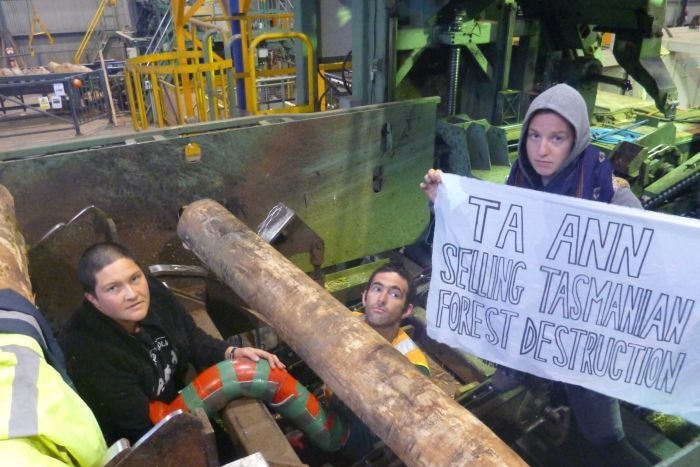 시위대는 Ta An 공장의 기계에 앉아 다음과 같은 문구가 적힌 표지판을 들고 있습니다. "Ta Ann은 Tasmanian 숲의 파괴를 판매합니다."