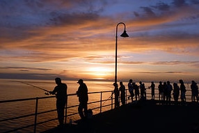 A group of people fish off a jetty at sundown. 