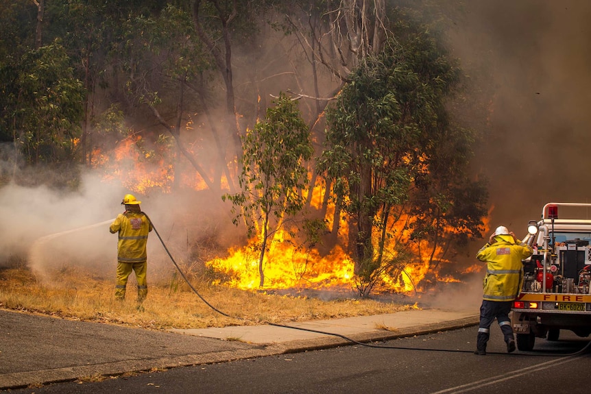 Firefighters tackle bushfire.