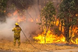 Firefighters tackle a bushfire at Parkerville in the Perth Hills.