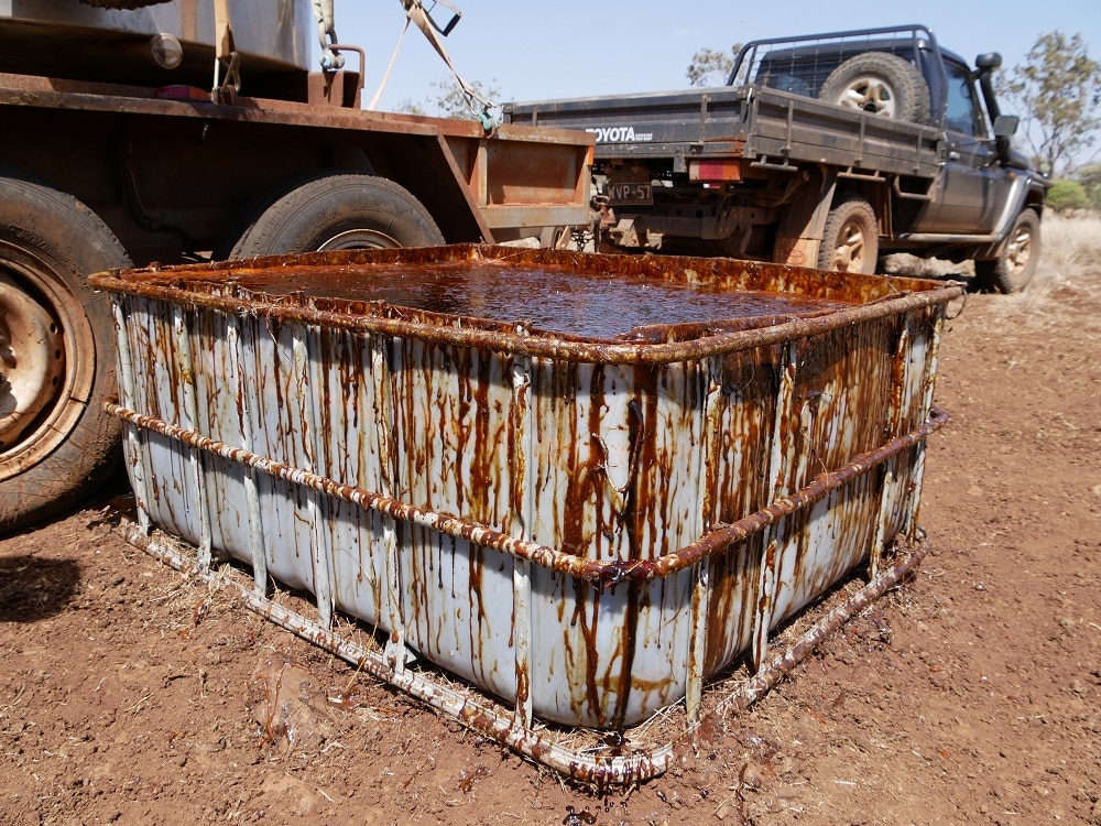 Droughtaffected Australian regions first Vietnamese molasses