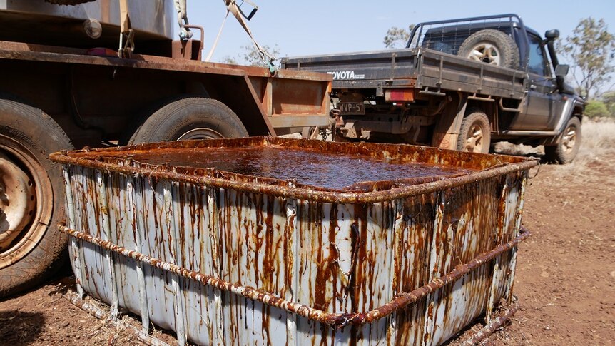 Black shiny molasses fills a live-stock trough