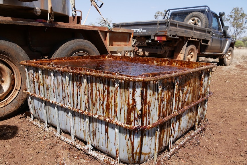 Black shiny molasses fills a live-stock trough