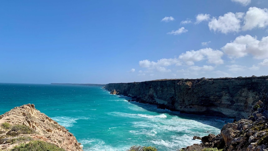 Large sea cliffs with green bushes in the foreground