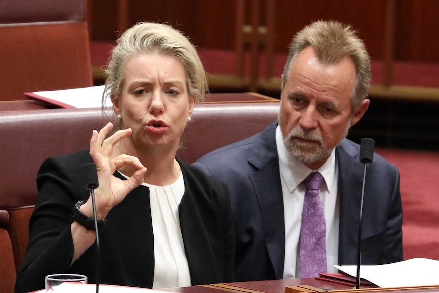 Bridget McKenzie makes an "okay" gesture with her fingers as her colleagues sit alongside her looking perplexed