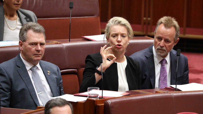Bridget McKenzie makes an "okay" gesture with her fingers as her colleagues sit alongside her looking perplexed.