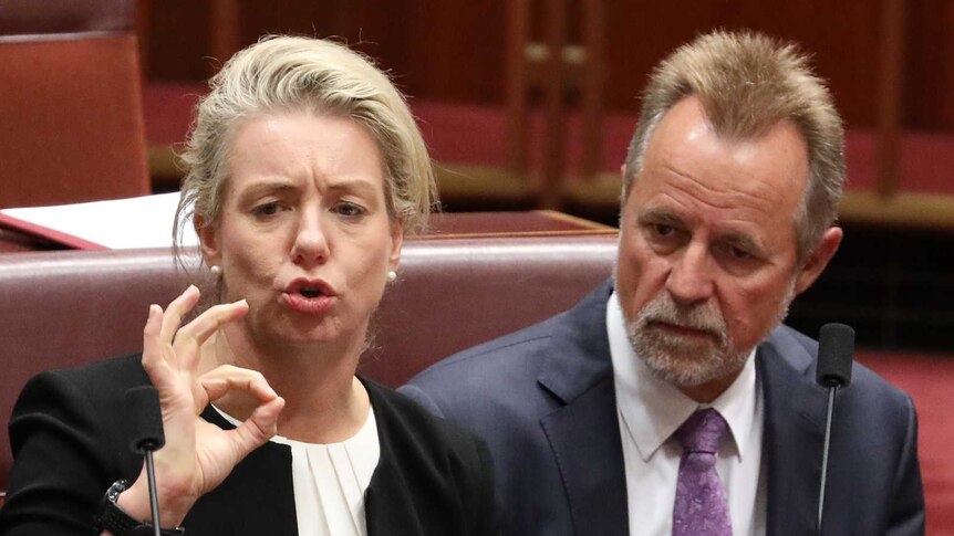 Bridget McKenzie makes an "okay" gesture with her fingers as her colleagues sit alongside her looking perplexed