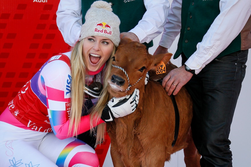 Lindsey Vonn poses with a cow
