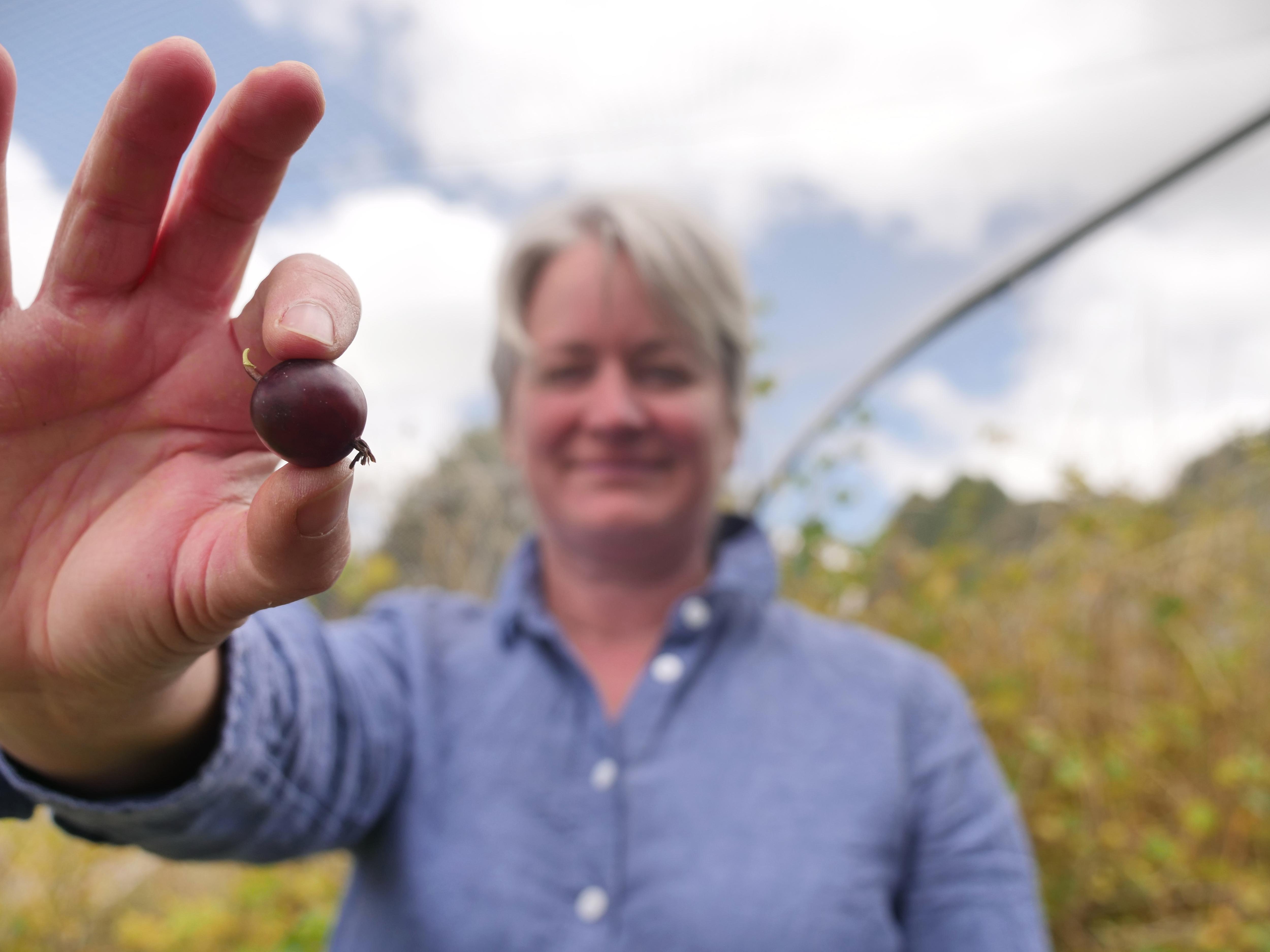 A woman holds a berry in her hand.