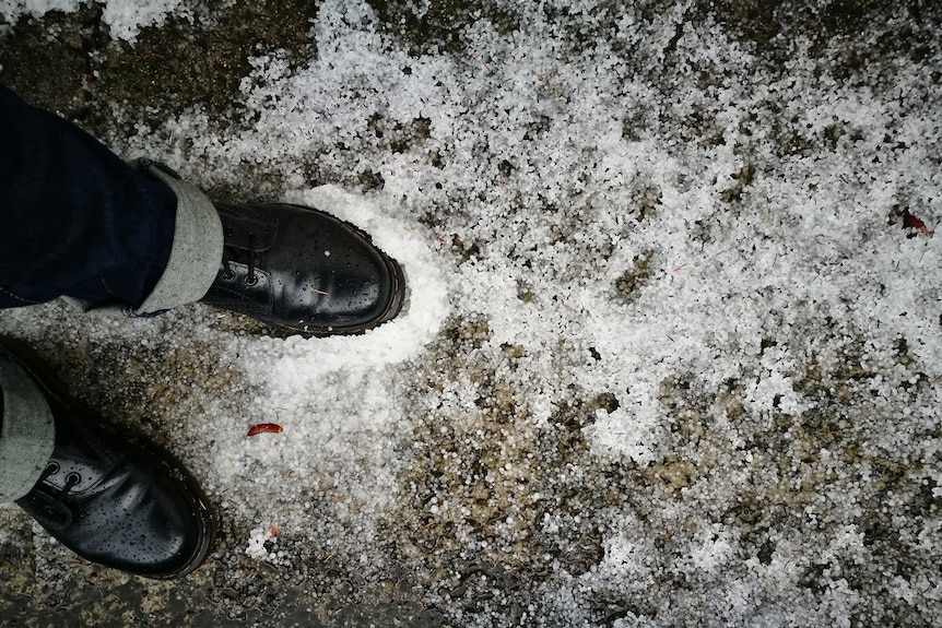 A foot in a pile of hail in Rosanna, Victoria.