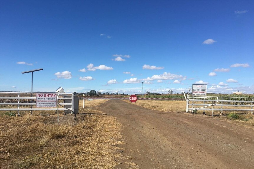 Beef City, near Toowoomba, is one of three Queensland abattoirs to have been blacklisted by China.