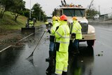 Hawaii Iselle clean-up