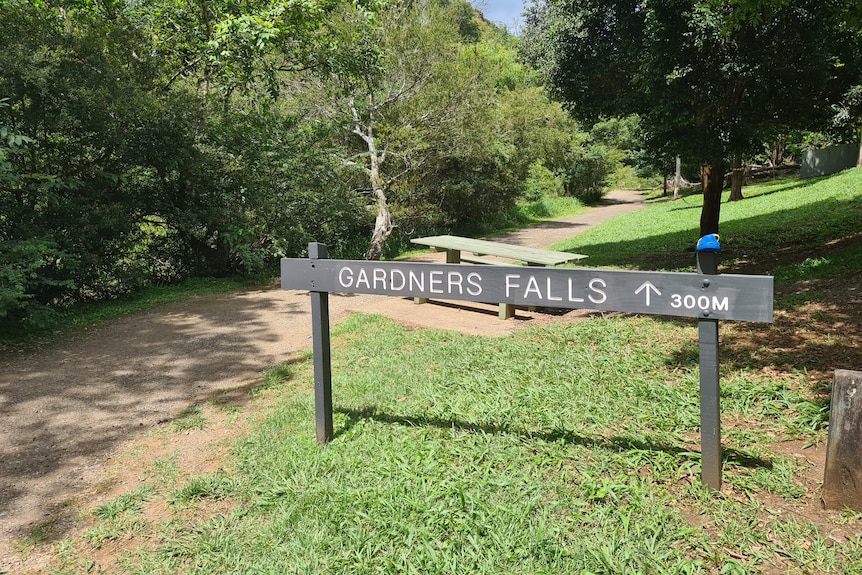 A swimmer has drowned at Gardeners Falls in Maleny after he failed to re-surface about 3.30pm on Monday.