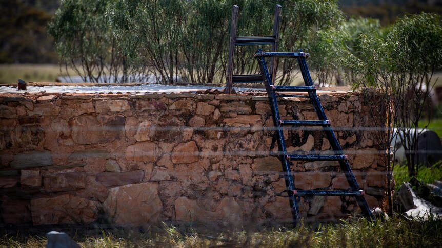 A water tank with a black ladder propped against it