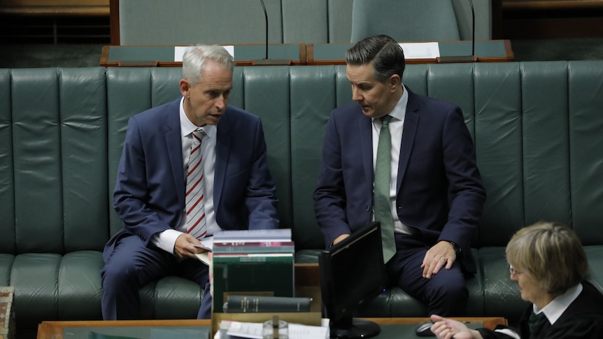 Andrew Giles sits alongside Mark Butler in the House of Representatives