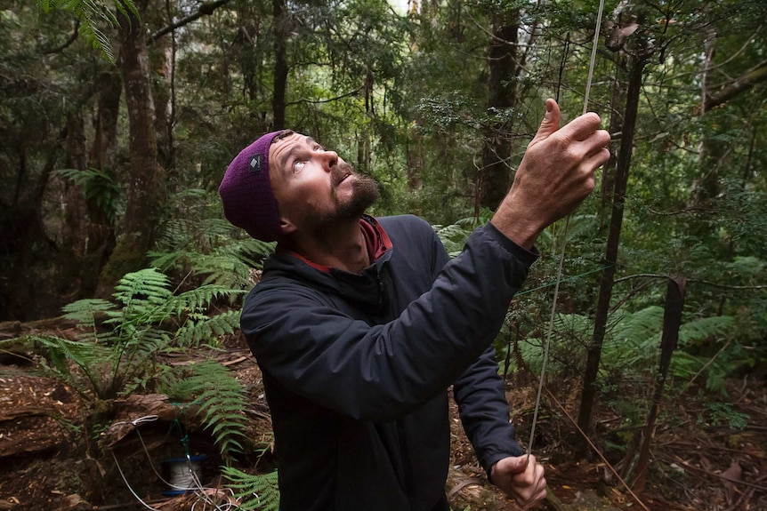 Steven Pearce in the Styx Valley