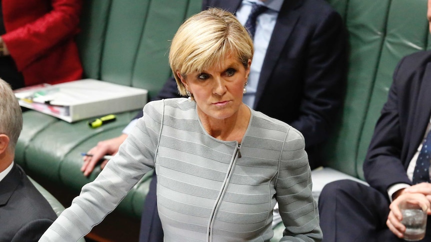 Julie Bishop in the House of Representatives.