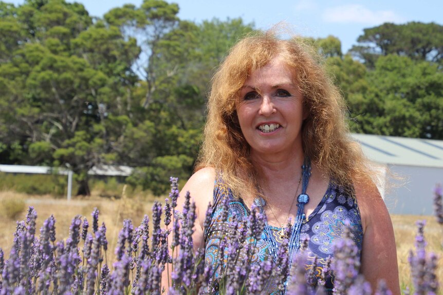 Denise Cox, a lavender farmer stands in front of lavender plants.