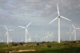 Wind farm turbines