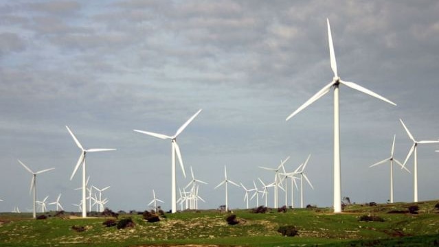 Wind farm turbines under an overcast sky