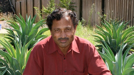 Associate Professor Nanjappa Ashwath with some agave plants.