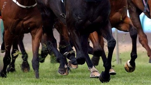 Racing clubs say the cut in prize money will deter interstate competitors and reduce standards.