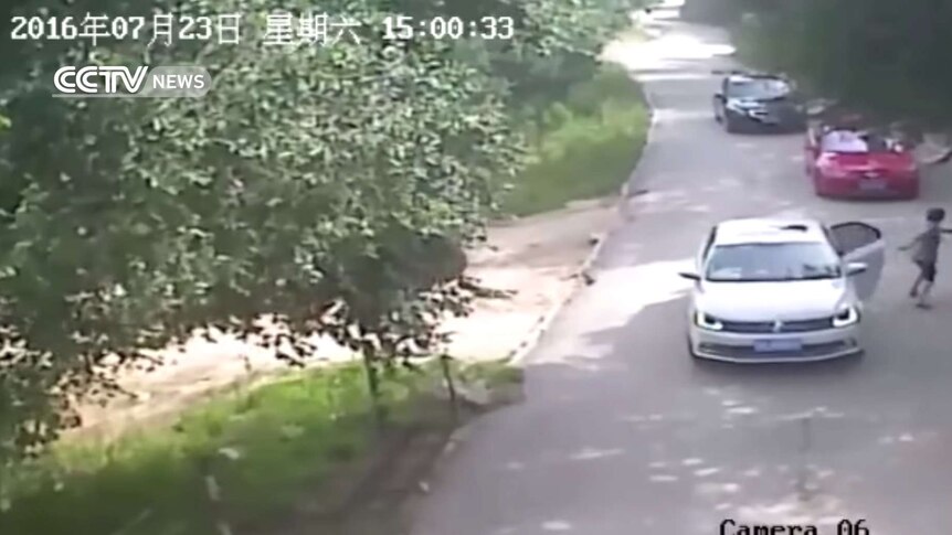 A woman leaves her car after a tiger attack at Beijing Badaling Wildlife World.