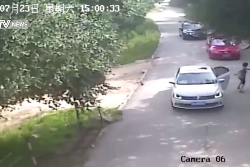 A woman leaves her car after a tiger attack at Beijing Badaling Wildlife World.