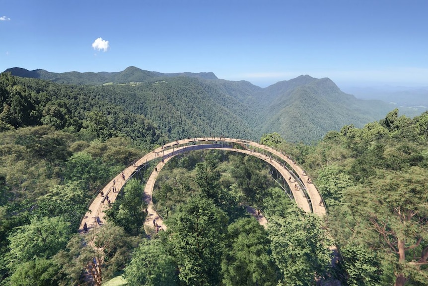 A boardwalk high in the air amongst trees in a valley