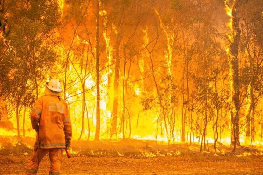 A firefighter stands in front of a massive blaze consuming bushland.