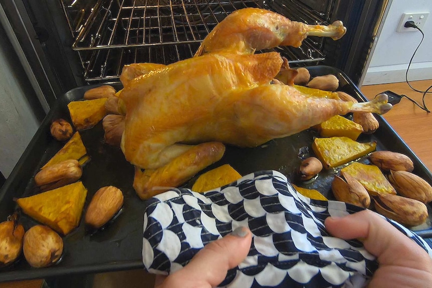 A roast chicken surrounded by pumpkin and bunya nuts coming out of the oven.