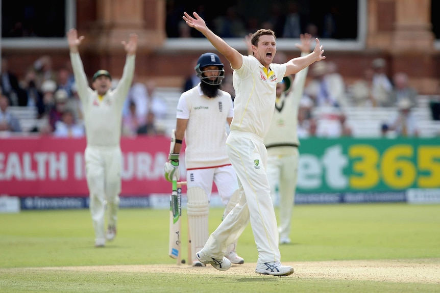 Josh Hazlewood appeals for Moeen Ali's wicket