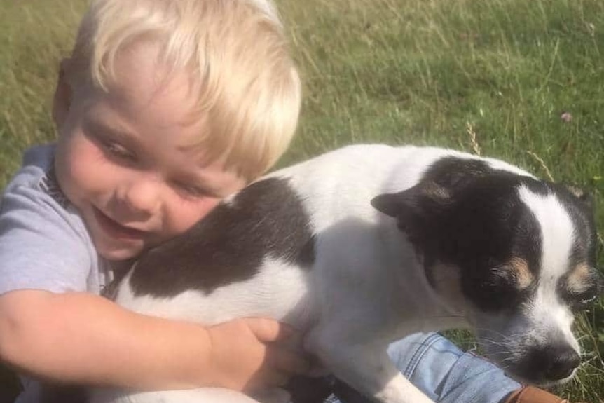 A toddler with blond hair cuddles a black and white dog