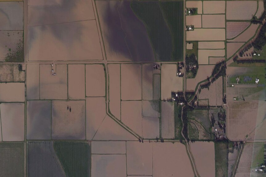 Satellite imagery shows a flooded agricultural area near Abbeville, Louisiana.