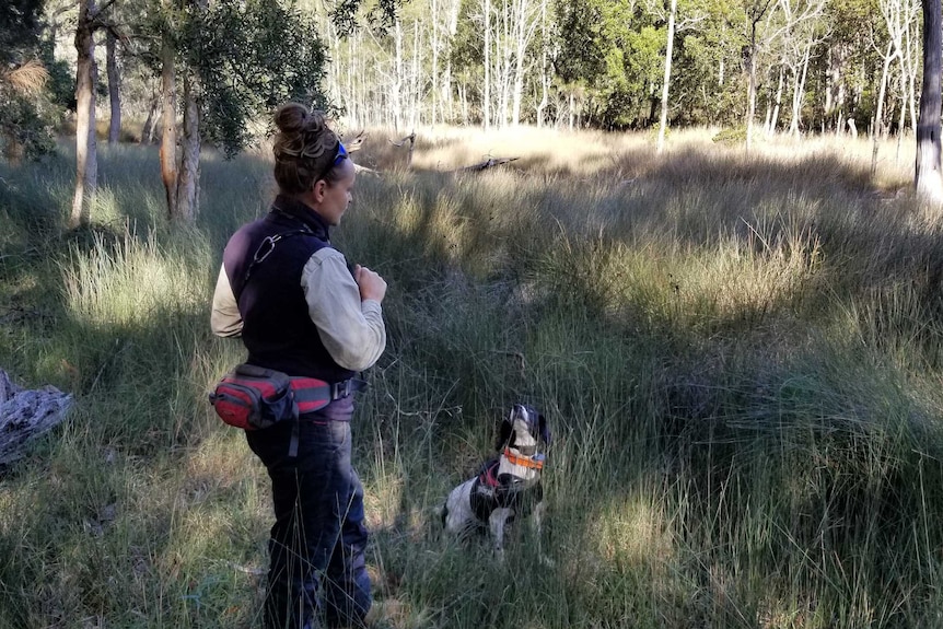 A woman in bushland stands in front of a medium sized dog, sitting down.