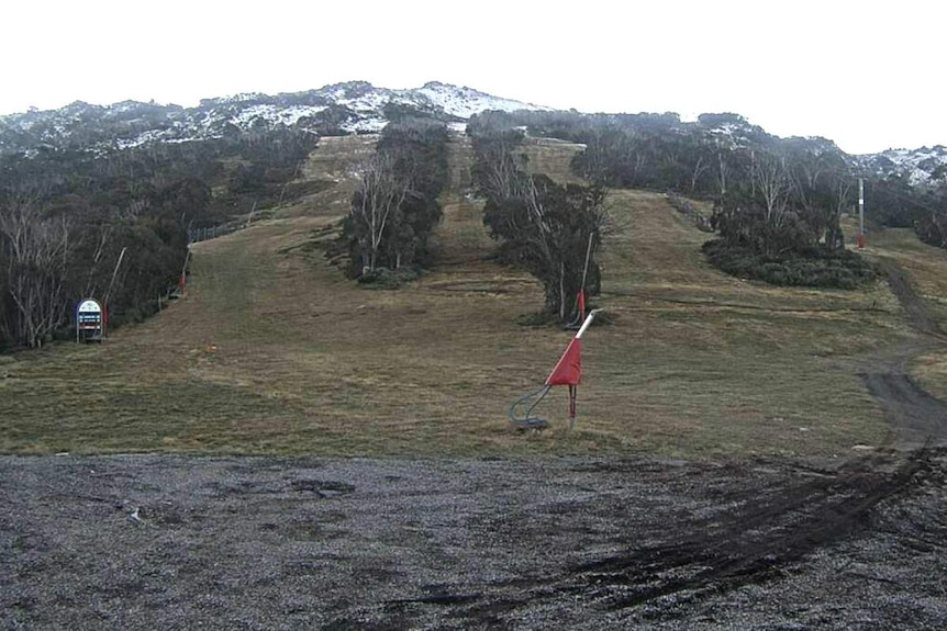 Looking up to mountain with a large grassed area and some snow cover at the top