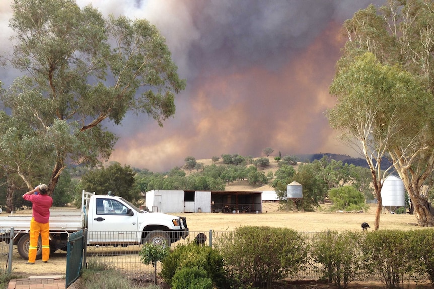 Bushfires at Coonabarabran in western New South Wales burnt 53,000 hectares of land
