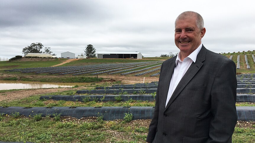 Adele CEO John Gilmore in front of the centre's young blueberry plantation.